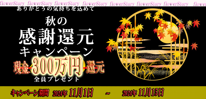 本日最終日‼是非、ご利用下さい★秋の大感謝祭実施中★